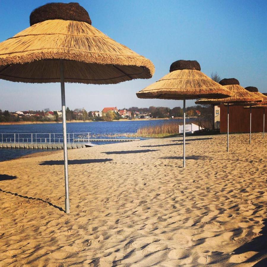 Camping Oaza Blonie Kornik Domki Standard - 3 Pokoje Bagian luar foto