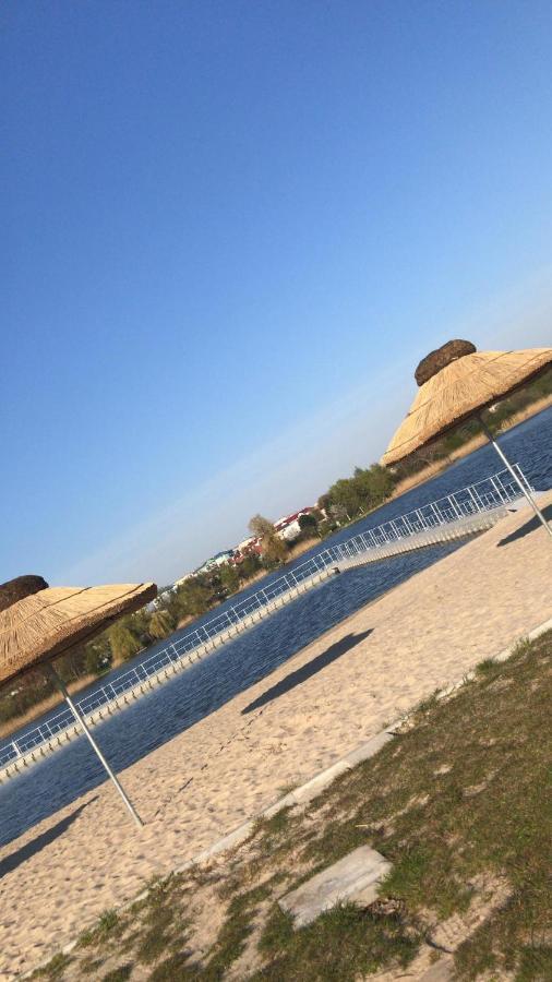 Camping Oaza Blonie Kornik Domki Standard - 3 Pokoje Bagian luar foto
