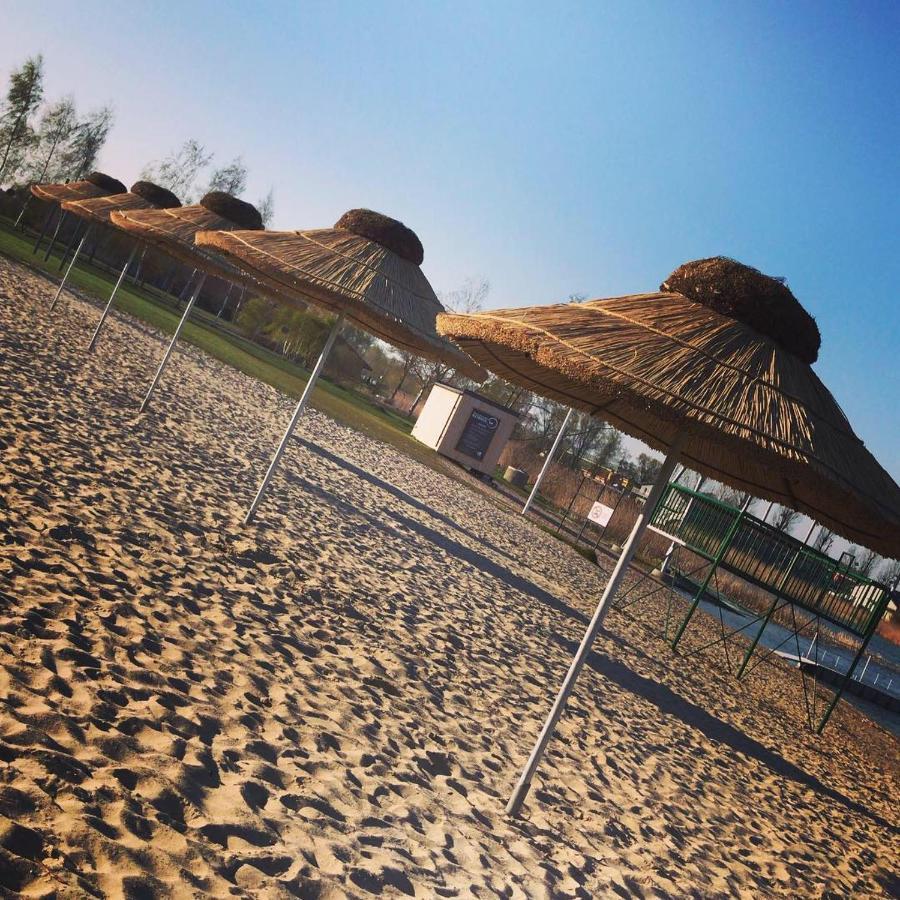 Camping Oaza Blonie Kornik Domki Standard - 3 Pokoje Bagian luar foto